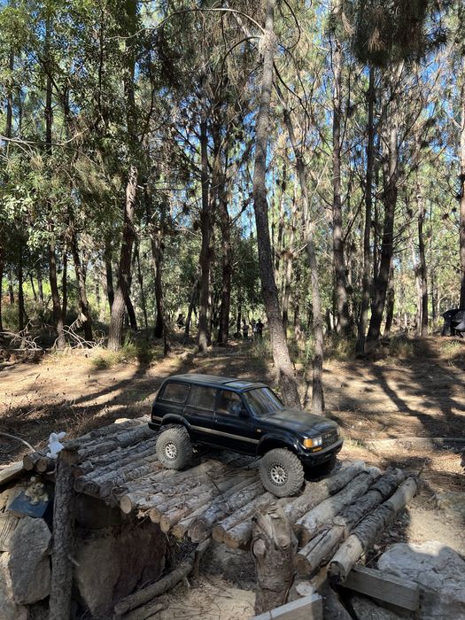 RC Traxxas TRX4  !!! LER DESCRIÇÃO !!!