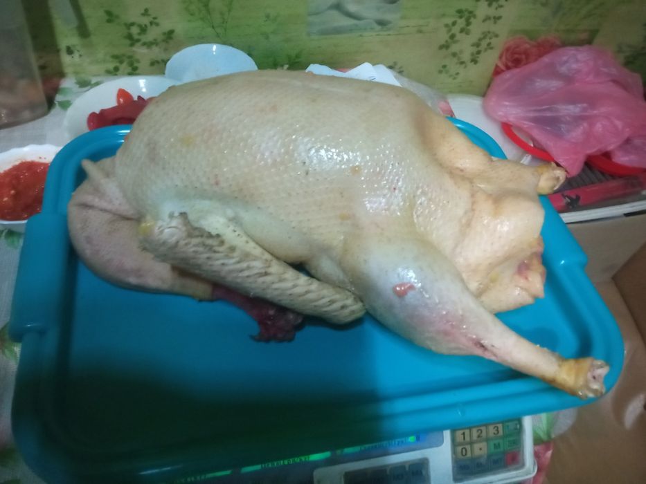 Продам тушки гусей