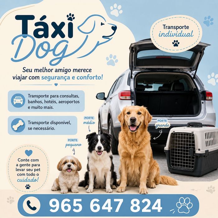 Transporte para animais