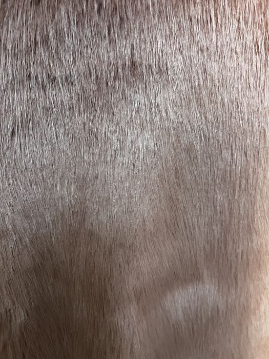 Casaco Bershka tamanho xs