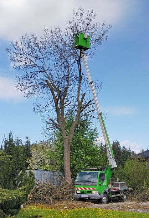 Podnośnik koszowy, zwyżka - wynajem i usługi.