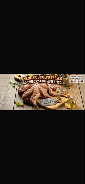 Polvo fresco de Peniche 12,5 euros kilo