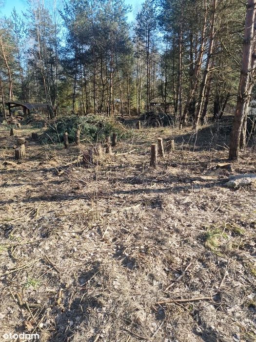 Atrakcyjne działki budowlana przy linii lasu – Dobiesz, 1400m²/2583m² - Widok 3