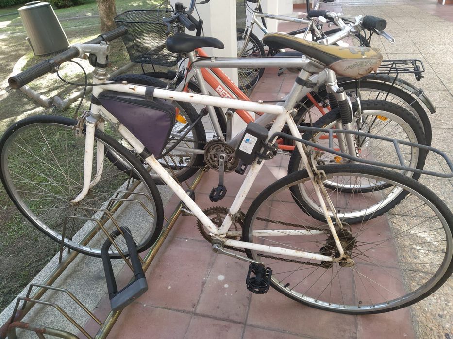 Bicicleta (travões novos)