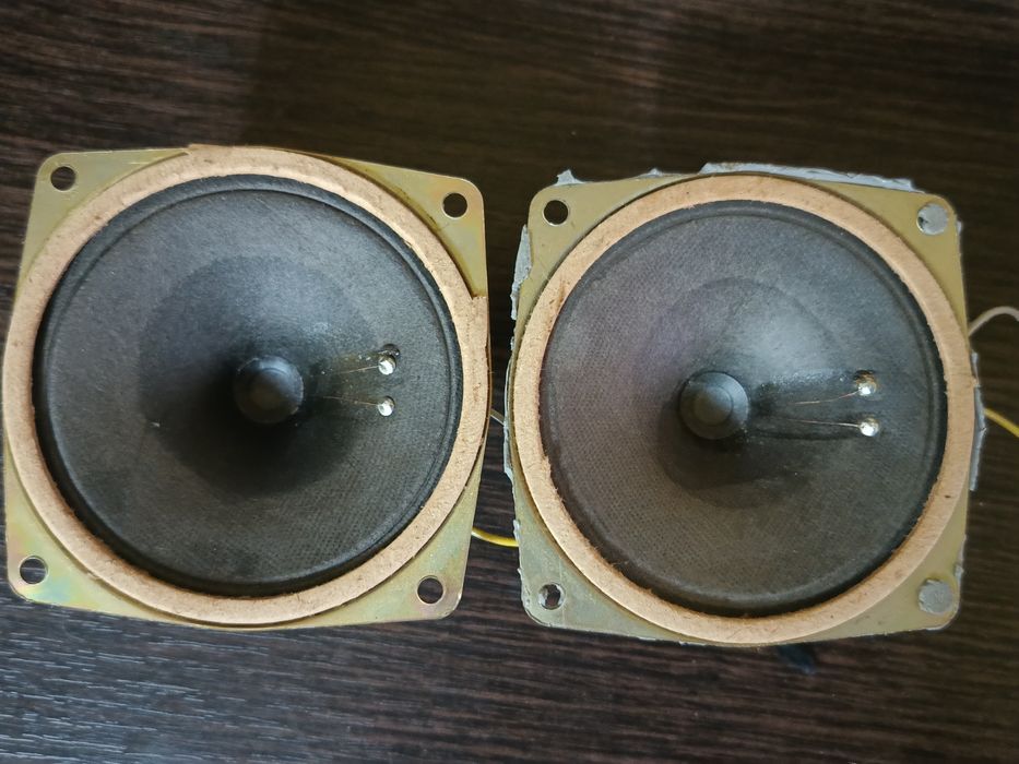 Динамики: 3гд31(пара)