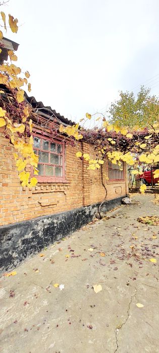 Будинок на одного власника. Гданцівка, зуп. Цегляний завод