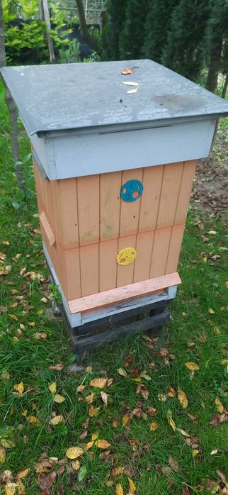 Sprzedam ule wielkopolskie
