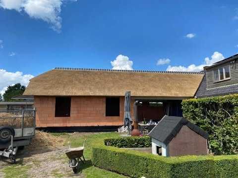 strzecha trzcina dachy trzcinowe