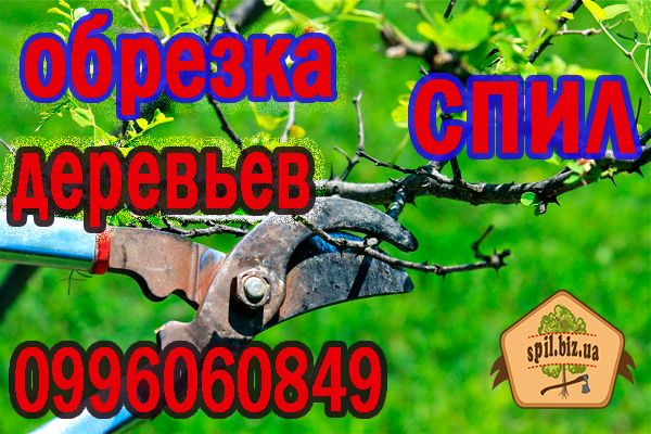 Спил дерев.Покос трави Професійна обрізка дерев Розчистка ділянки .Вивіз