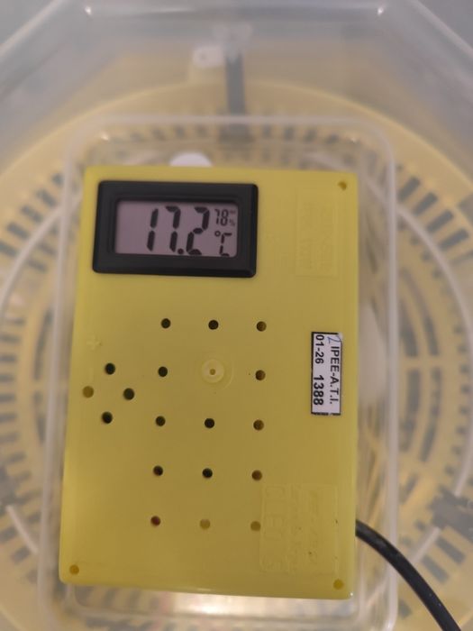 Chocadeira semi-automática