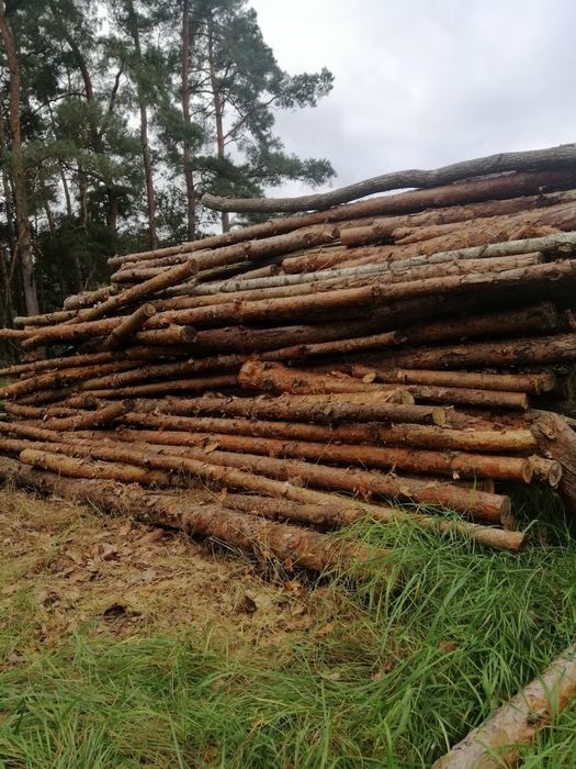 SUCHE drewno opałowe RÓŻNE!