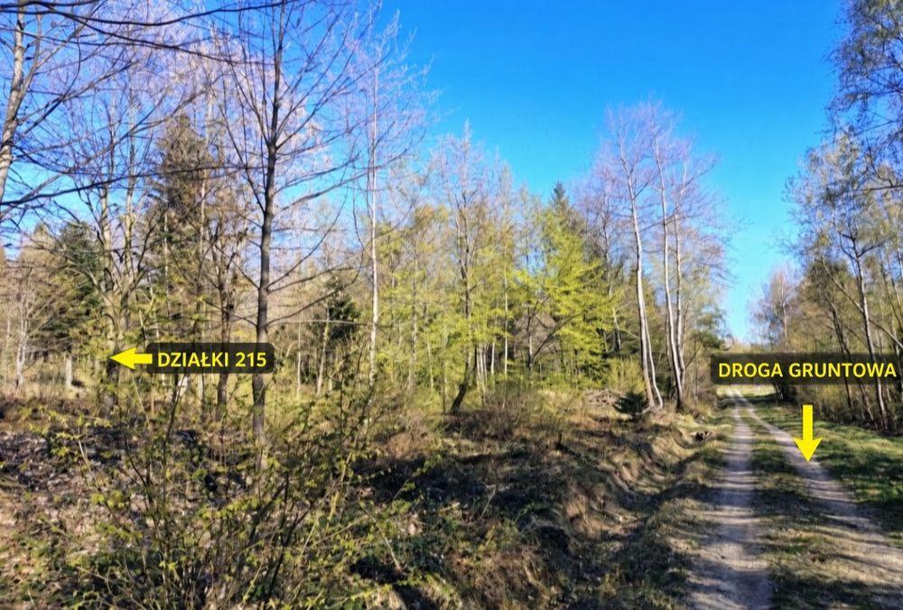 Działka leśna Las  Beskid Niski  Nowica