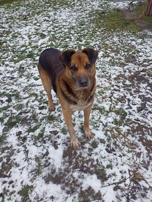 Kuba szuka nowego domu