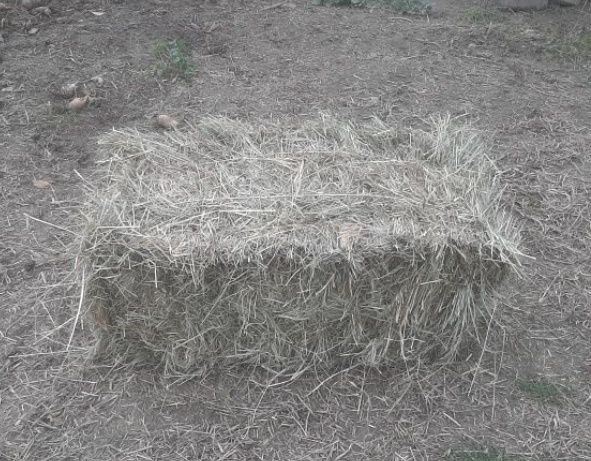 Продам свіже польове сіно