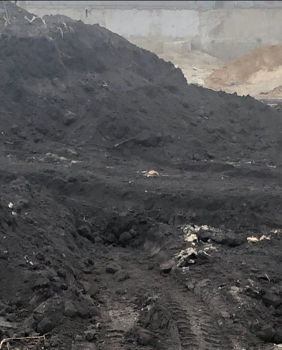 Чернозем для урожая ПЛОДОРОДНЫЙ СЛОЙ