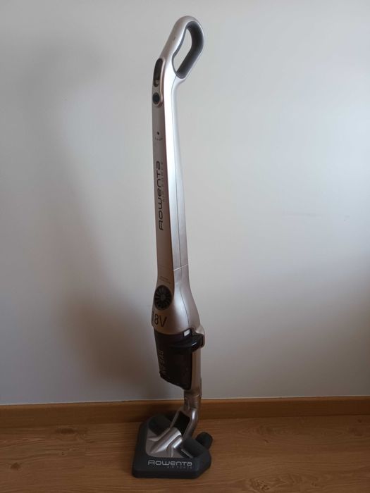 Aspirador Rowenta