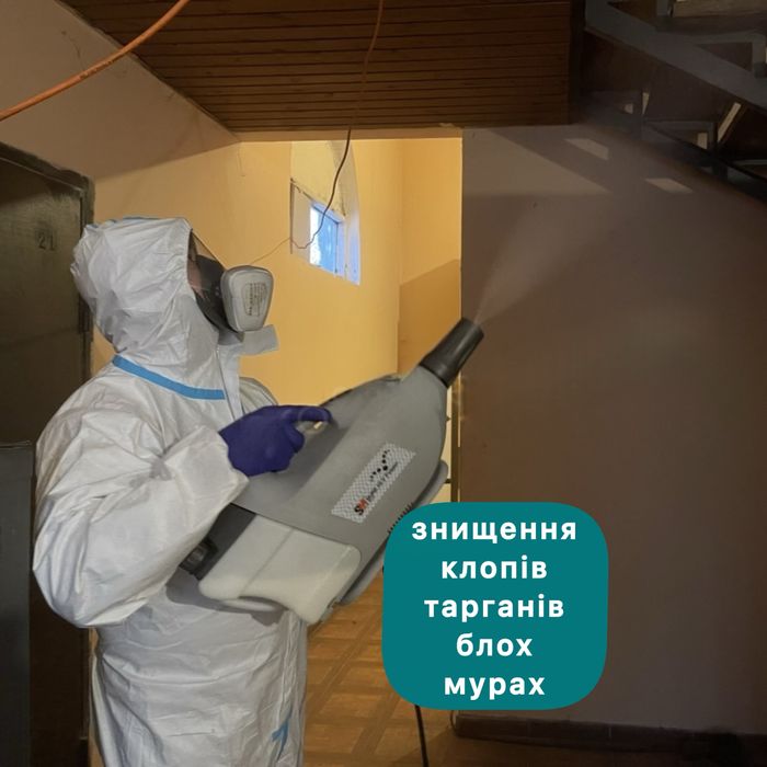 Травля тарганів клопів блох шершнів щурів мишей. Уничтожение тараканов клопов блох крыс мышей . Вытравить тараканов. Удаление плесени