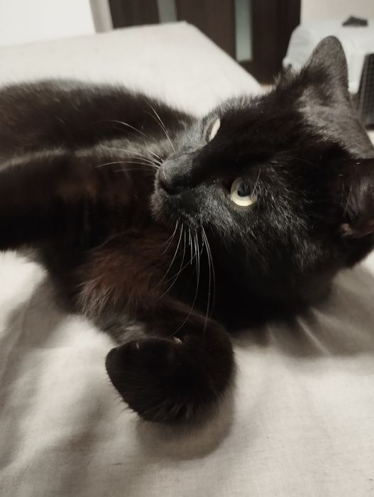 Ищу для Миши любящую семью.