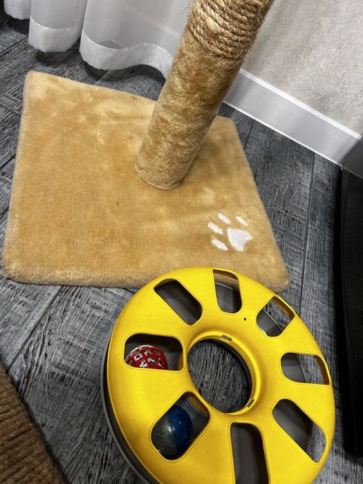 Набор для кота(когтеточки,игрушки,лоток)цена за все
