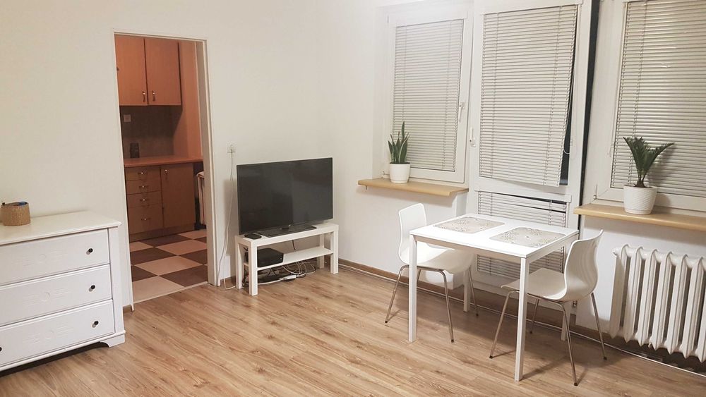 Kawalerka do wynajęcia