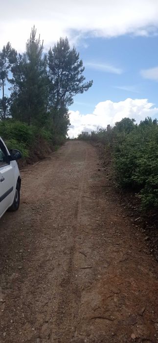 Terreno Rústico com 17500 mts na Sertã