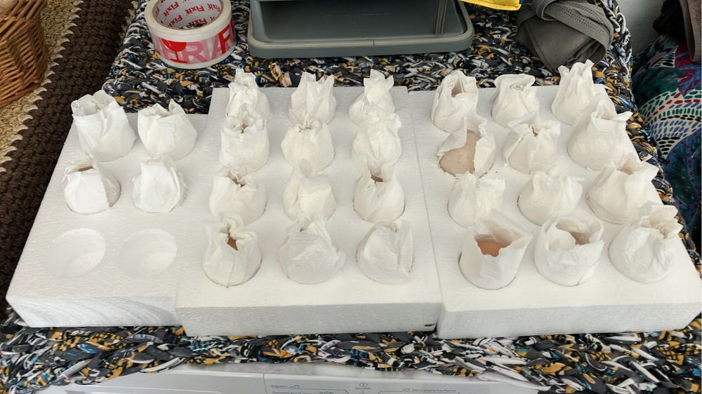 Ovos …. Caixas de envio de ovos para incubacao em segurança