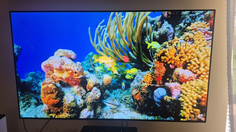 Lg oled 55B8SLC 55 cali
