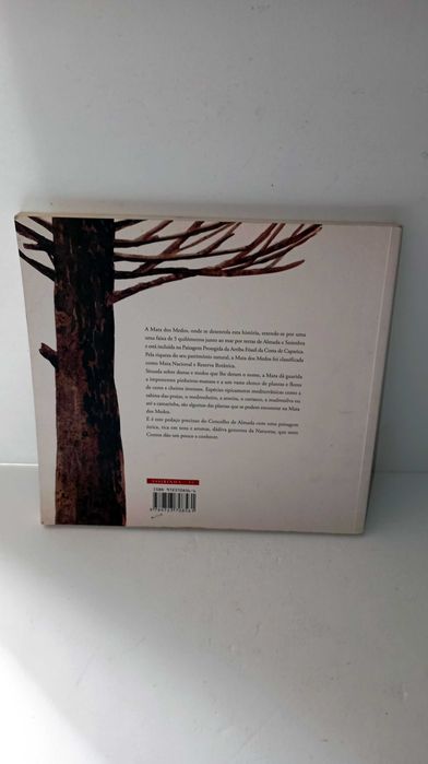 Contos da Mata dos Medos - Álvaro Magalhães