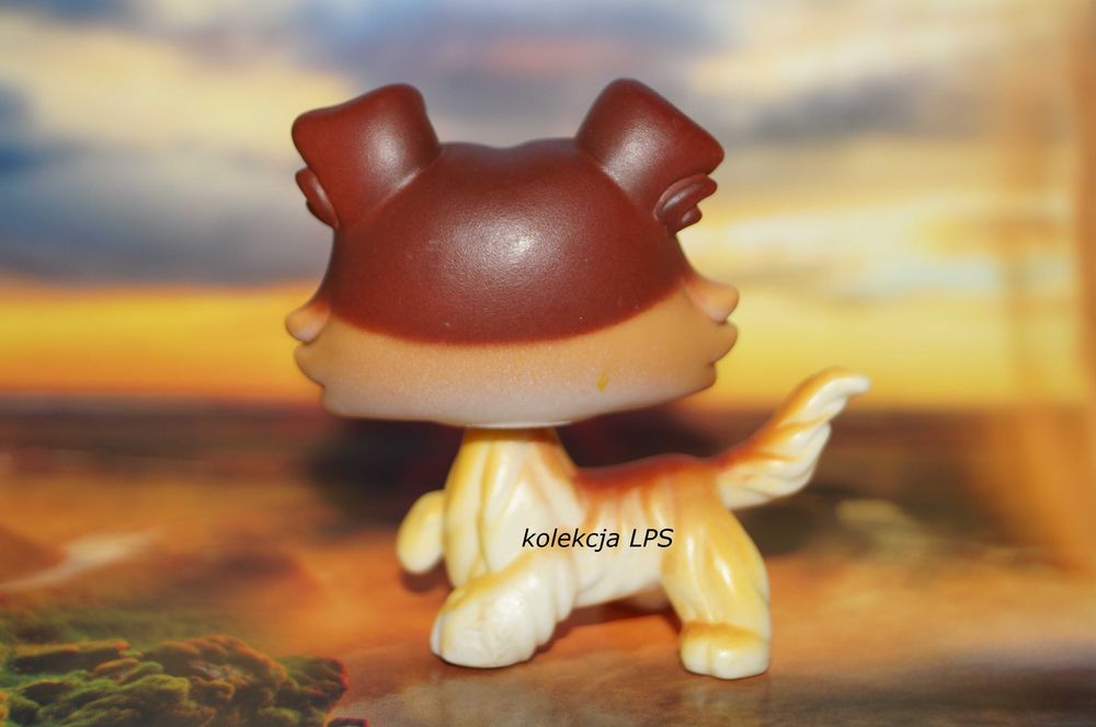 LPS Littlest Pet Shop collie #58 Sage oryginalny pop oryginał paw up