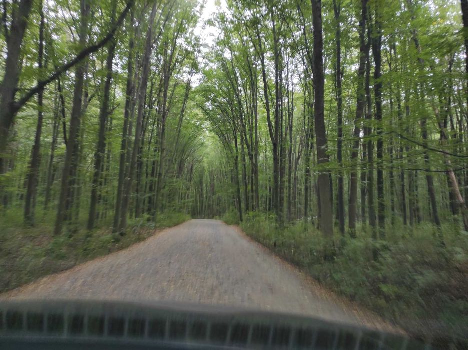 Дачний будинок в СДТ «Красне», біля Вінниці.