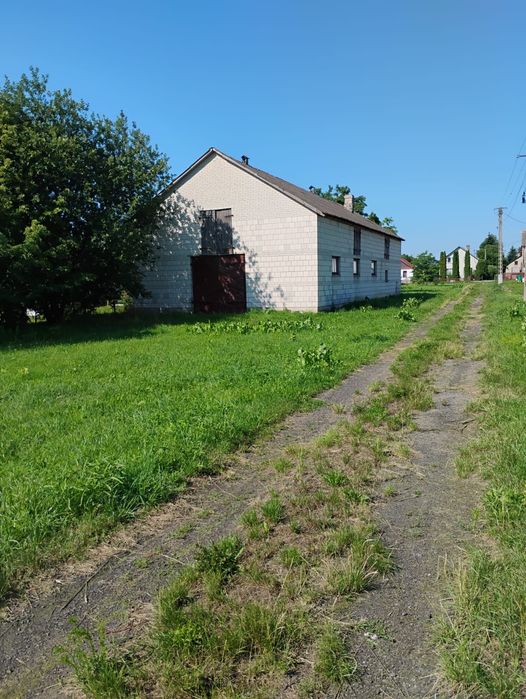 Działka budowlana Derewiczna