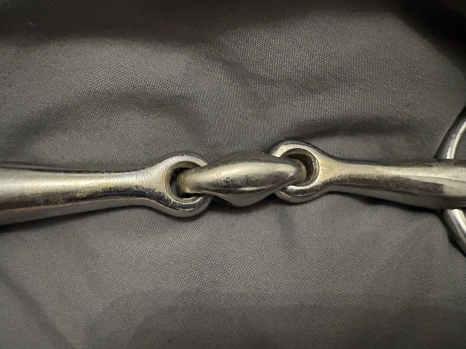 Wędzidło dla konia