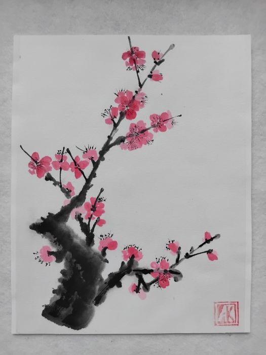 Plum blossom, квітуча слива