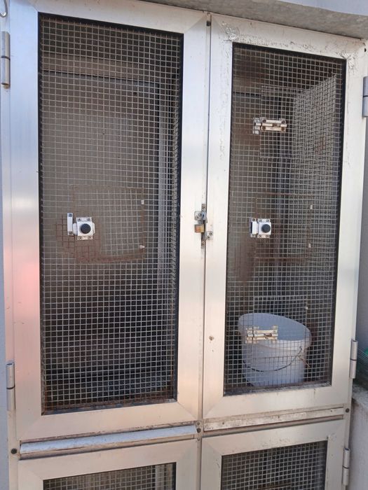 Viveiro de pássaros com 4 divisões