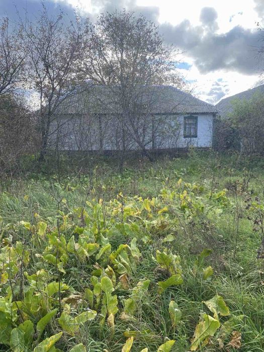 Продам Будинок Село Борщів