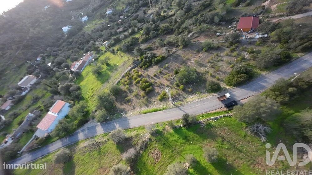 Terreno Agrícola em Conceição e Estoi