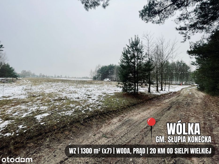 WZ | Media | Dojazd z trzech stron | Zalew w Radoszycach, park, lasy