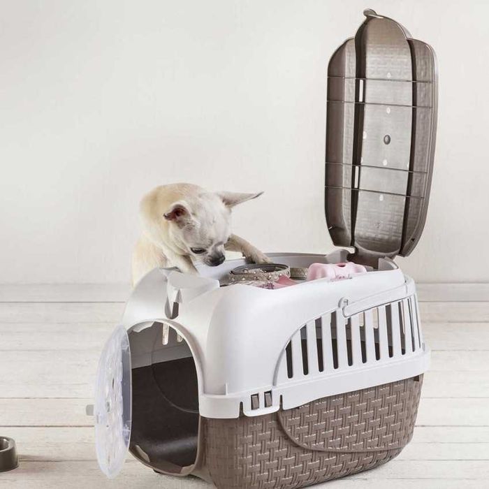 Transportadora animais BAMA NOVO