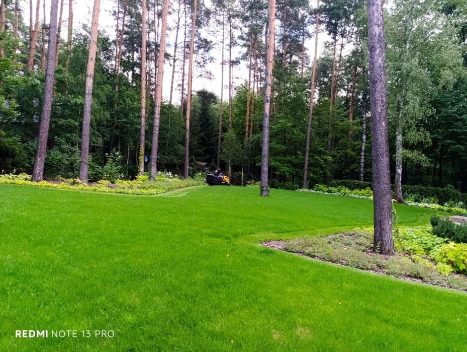 Czyszczenie działek pielęgnacja ogrodów