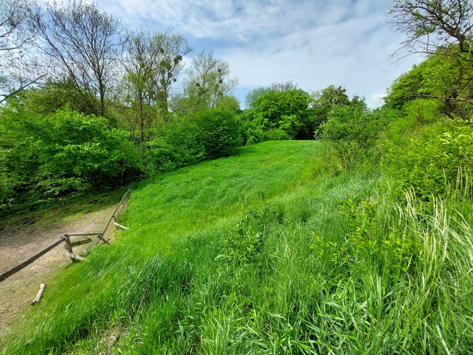 Działka z WZ / Opalenie / Dolina Wisły