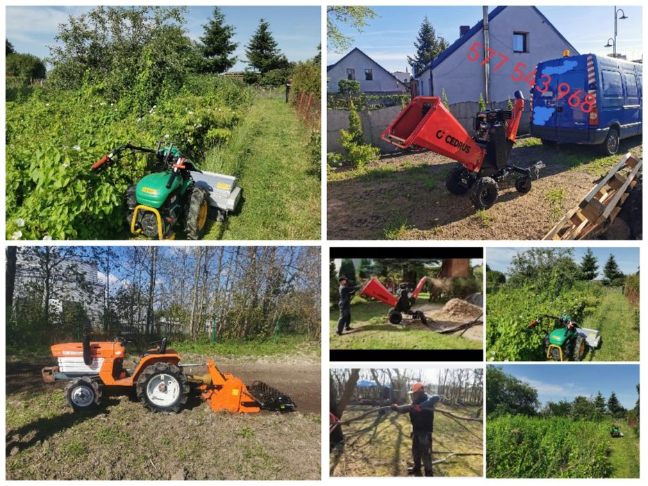 Pielegnacja I czyszczenie ogrodow I dzialek