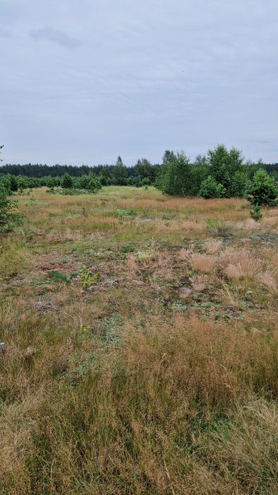 Działka budowalna okolice Wdzydz z MPZP. - Widok 3