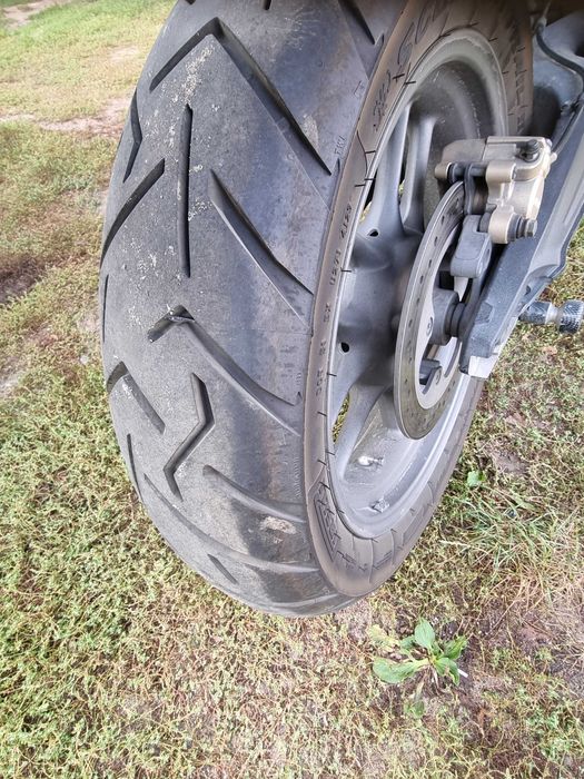 Dobry motocykl Triumph Tiger 800