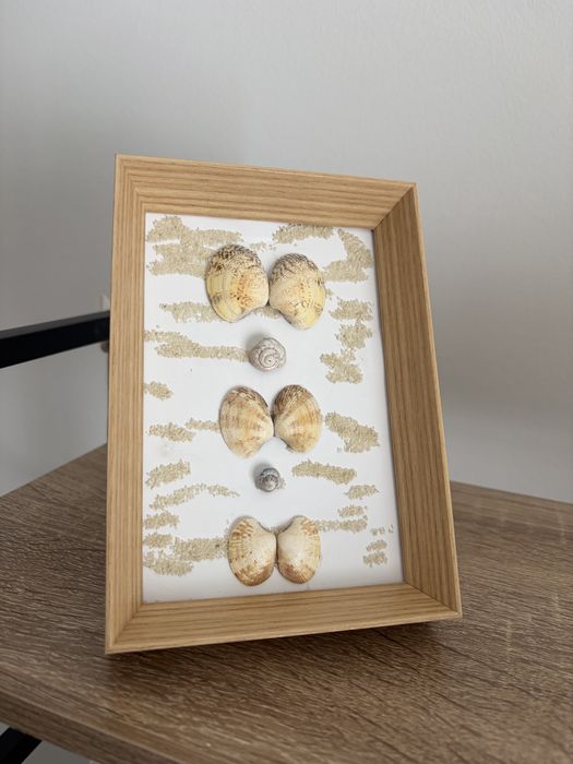 Quadros de Arte com Conchas Naturais de Alcochete - Feitos à Mão