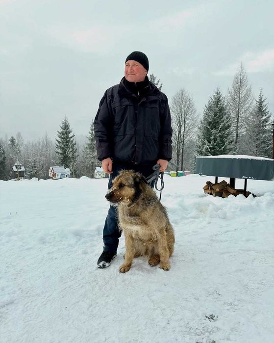Джек, метис дратхаара, шукає дім