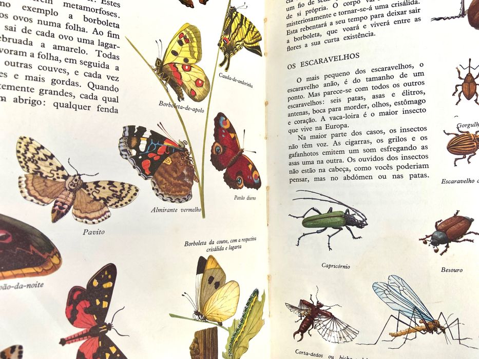 A minha primeira enciclopédia