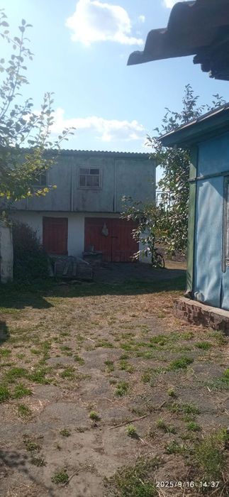 Продам будинок, м. Борзна, по вул. Покровській, буд. 57