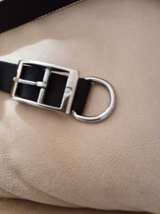 Ошейник светящийся