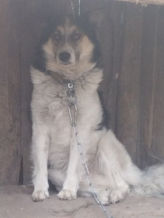 Хлопчик безкоштовно