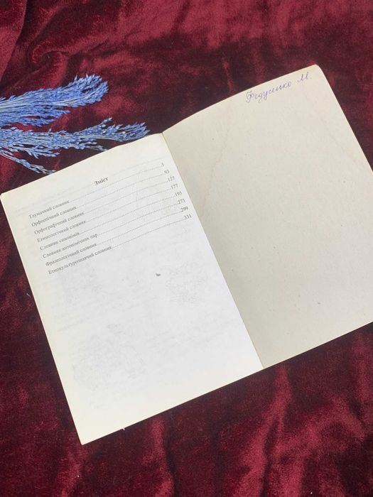 Книга тлумачний словник для дітей «Словниковий дивосвіт», 2006 рік,